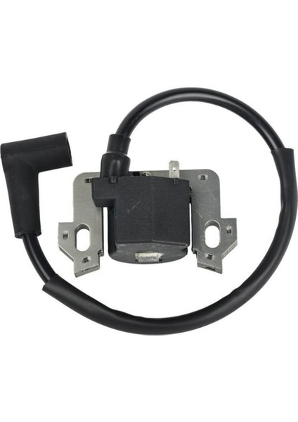 Honda GCV135 GCV160 GCV190 GSV160 Yedek Parçalar Onarımı Ayarlama Kiti Motor (Yurt Dışından)