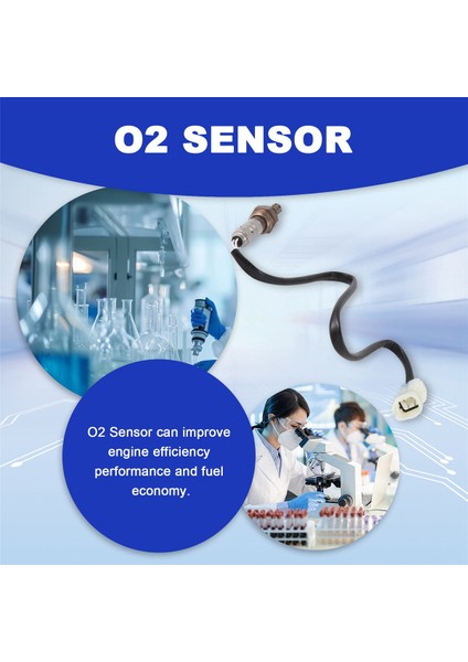 Suzuki Xl-7 Grand Vitara 2.7l Için Yukarı Akış Oksijen O2 Sensörü 234-4084 (Yurt Dışından) indirimleri