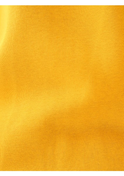 Regular Fit Erkek Sweatshirt