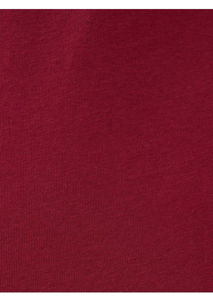 Regular Fit Erkek Sweatshirt