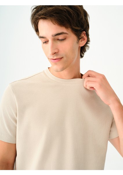 Regular Fit Erkek Tshirt K.kol