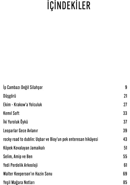 İp Cambazı Değil Silahşör - Arda Arel modelleri