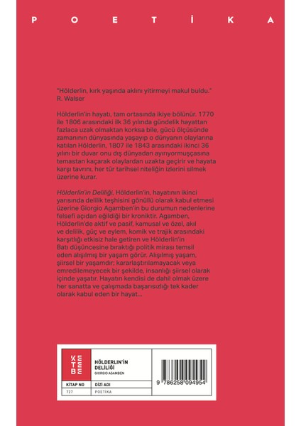 Hölderlin'in Deliliği - Giorgio Agamben modelleri