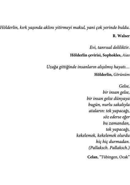 Hölderlin'in Deliliği - Giorgio Agamben
