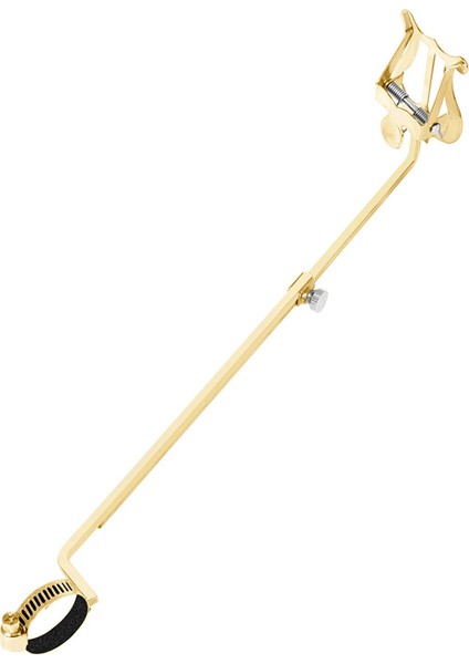 Enstrüman Flüt Yürüyen Müzik Klipsi Taşınabilir Flüt Müzik Klipsi Flüt Aksesuarları Altın (Yurt Dışından) fiyatları