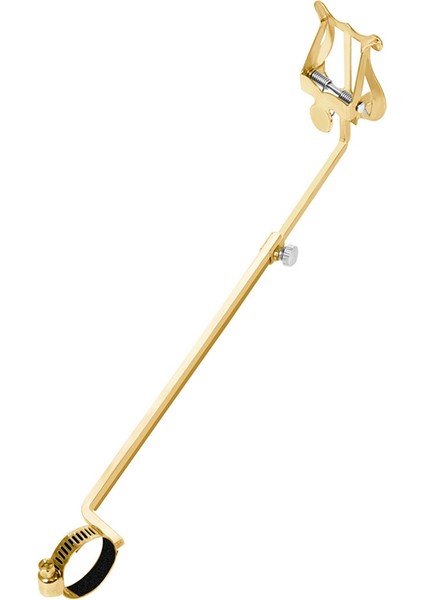 Enstrüman Flüt Yürüyen Müzik Klipsi Taşınabilir Flüt Müzik Klipsi Flüt Aksesuarları Altın (Yurt Dışından) indirimleri