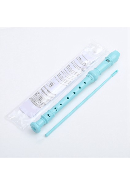 Pink-8 Delikli Temizlik Çubuğu ile Soprano Kaydedici, Alman Stil C Anahtar Kayıt Cihazı Yeni Başlayanlar Öğrencileri (Yurt Dışından)