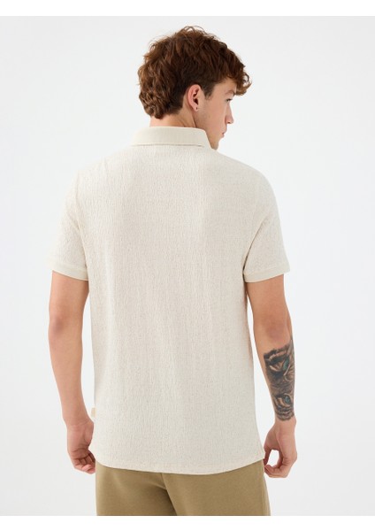 Regular Fit Erkek Polo K.kol