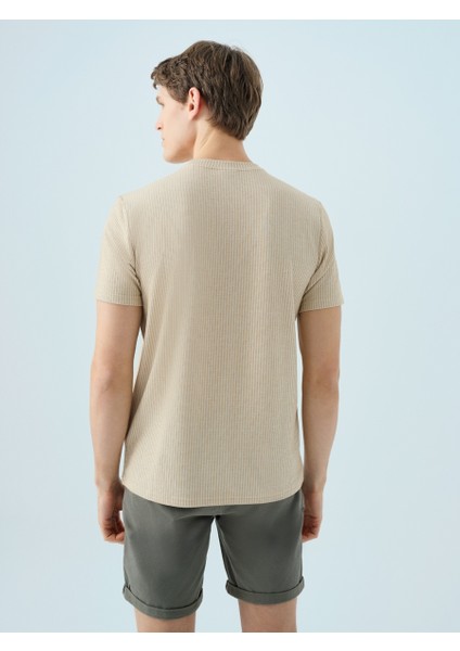 Regular Fit Erkek Tshirt K.kol