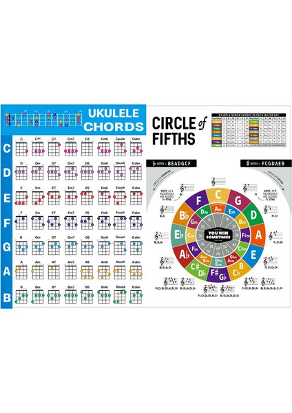 Ukulele Akor Grafik Etiketi Ukelele Müzik Eğitimi Gitar Akor Grafiği Yeni Başlayanlar Için Büyük Boyut (Yurt Dışından)