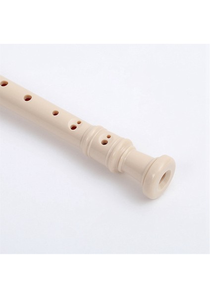 Sarı-8 Delikli Temizlik Çubuğu ile Soprano Kaydedici, Alman Stil C Anahtar Kayıt Cihazı Yeni Başlayanlar Öğrencileri (Yurt Dışından) modelleri