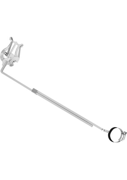 Enstrüman Flüt Yürüyen Müzik Klipsi Taşınabilir Flüt Müzik Klipsi Flüt Aksesuarları Gümüş (Yurt Dışından) modelleri