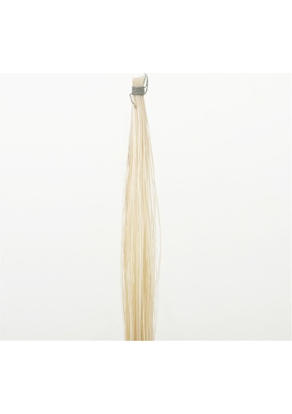 Keman Doğal Irkları Yayı Yay Saçının Yerini Alıyor Keman, Keman Yayını Telli Müzik Keman Aksesuarları 4/4,70CM (Yurt Dışından)