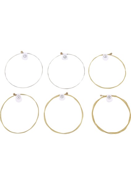 6 Tel/set Ziko Dag Akustik Gitar Dizeleri Müzik Aletleri Akustik Gitar Ipi Gitar Parçaları DAG-010 (Yurt Dışından)