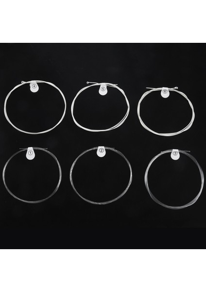 Ziko Dpa-70 Klasik Gitar Dizeleri Naylon Çekirdek Gümüş Kaplama Bakır Yara Yüksek Gerginlik (Yurt Dışından) modelleri