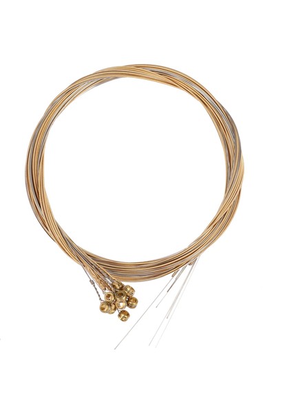 12PCS Dayanıklı Paslanmaz Çelik Gitar Dizeleri Değiştirme 12 Dizeler Gitar Parçaları Aksesuarları Için Ayarla Elektro Gitar Dizeleri (Yurt Dışından)