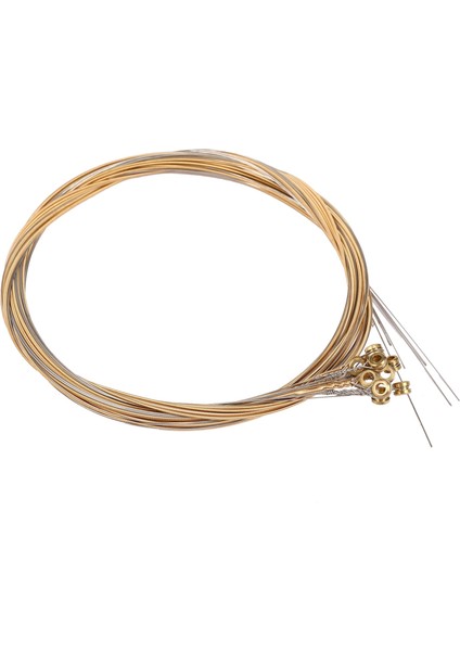 12PCS Dayanıklı Paslanmaz Çelik Gitar Dizeleri Değiştirme 12 Dizeler Gitar Parçaları Aksesuarları Için Ayarla Elektro Gitar Dizeleri (Yurt Dışından) fiyatları