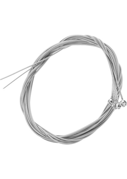 Ziko Electric Bass Gitar 4 String Bas Gitar Dizeleri 6 Nikel Profesyonel Dizeler DN-045100 (Yurt Dışından)