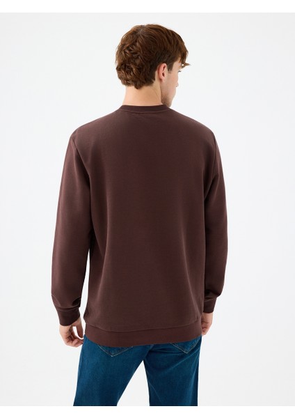 Regular Fit Erkek Sweatshirt