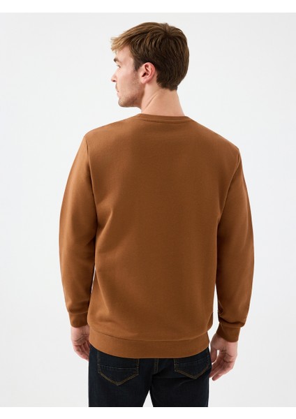 Regular Fit Erkek Sweatshirt