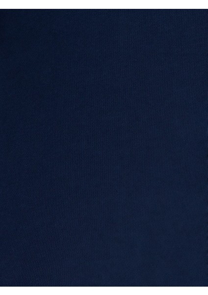 Regular Fit Erkek Sweatshirt