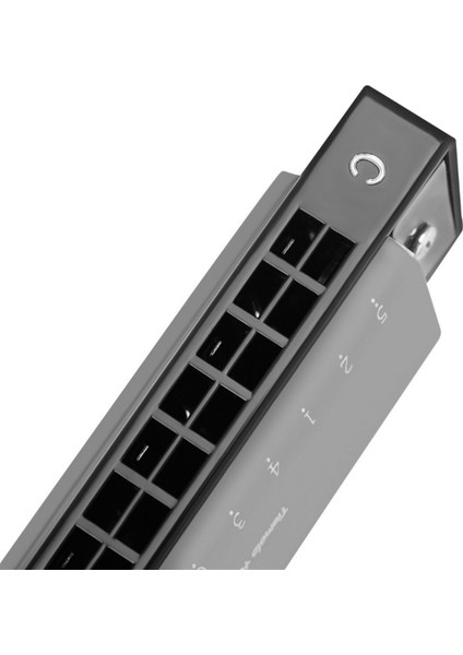 Profesyonel 24 Delik C Yeni Başlayanlar Için Anahtar Mızıka Çocuklar Gelişmiş Mızıka Enstrümanı Performans Için Ağır Sesle (Yurt Dışından) modelleri