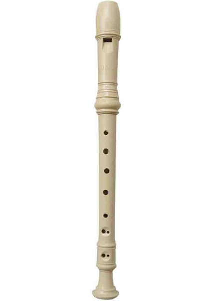 Dhs 8 Delikli Soprano Kaydedici Çocuklar Için Müzik Aletleri Yeni Başlayanlar Parmak Grafiği Temizleme Çubuk Ambalaj Çantası (Yurt Dışından) modelleri