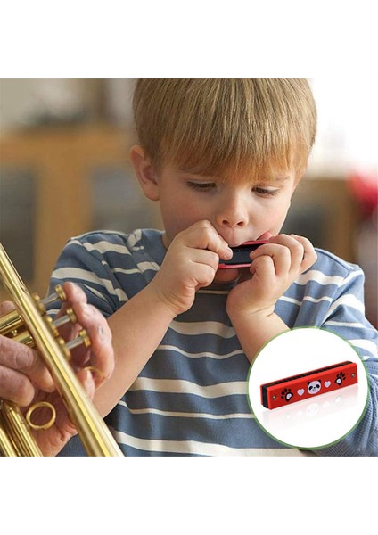 Çocuk Mızıka, 4 Diyatonik Mızıka Paketi, Yeni Başlayanlar Için Ahşap Müzik Aleti, Profesyoneller, Öğrenciler (Yurt Dışından) indirimleri