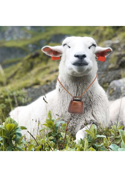6 Adet Metal Inek Zili, At Koyun Otlatma Bakır Için Cowbell Retro Çan, Inek Çanları Gürültü Yapıcılar (Yurt Dışından) modelleri
