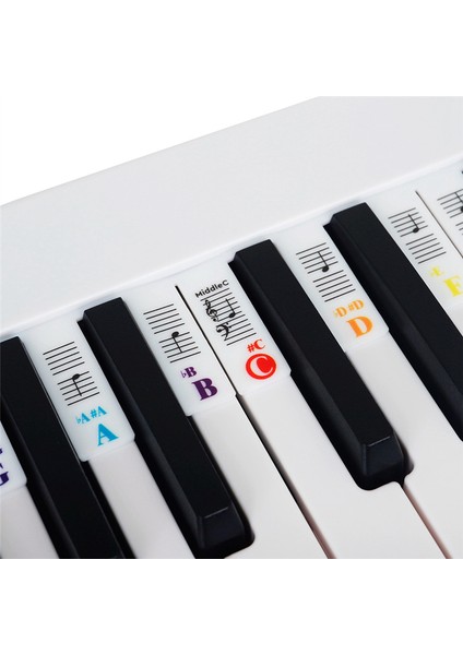Piyano Not Çıkartma Düğmesi Şerit Silikon Renk Evrensel Çıkarılabilir Klavye Çıkartması (Pvc Kutusu) 61 Anahtar (Yurt Dışından) fiyatları