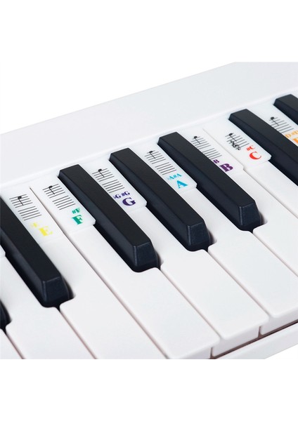 Piyano Not Çıkartma Düğmesi Şerit Silikon Renk Evrensel Çıkarılabilir Klavye Çıkartması (Pvc Kutusu) 61 Anahtar (Yurt Dışından) modelleri