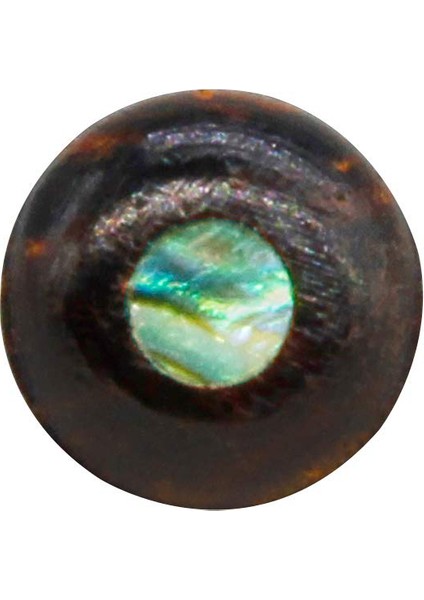 6pcs Akustik Gitar Köprüsü Pimleri Metal Gitar Pimleri ile Kakılaşmış Abalon Dot Pulluk Dıy Yedek Parçaları (Yurt Dışından) modelleri