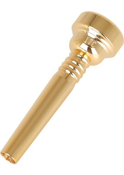 Pirinç Enstrüman Trompet Ağız Pirinç Altın Kaplama 17C Trompet Ağız Yeni Başlayanlar Için 17C Trompet Ağızlık Oynamak (Yurt Dışından) fiyatları