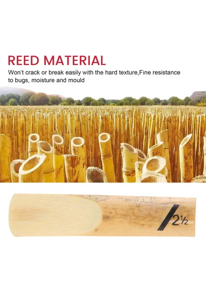 10PCS Alto Saksafon Sax Reeds Riyin Saksafon Için Klasik Alto Reed 2.5 Güç 2 1/2 Müzik Noel Hediye Müzik Aletleri (Yurt Dışından) indirimleri