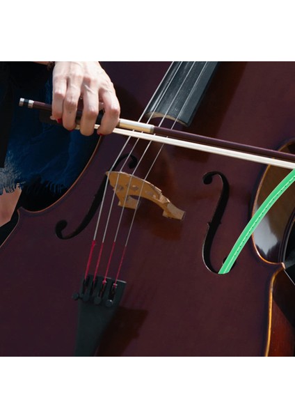 Çello Ses Deliği Nemlendiricisi F Hole Viyolonsel Nemlendirici Kaçma Önleyici Panel Nem Nem Bakım Aracı (Yurt Dışından) fırsatları