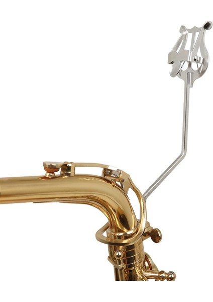 Taşınabilir Müzik Sahibi, Okuma Sahibi, Pratik Müzik Standı, Saksafon Taşınabilir Müzik Standı (Kısa Versiyon) Gümüş (Yurt Dışından) indirimleri