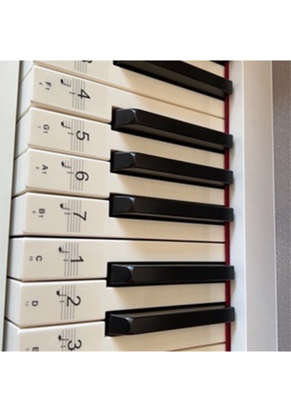 Çok Renkli Piyano Klavye Çıkartmaları, Cesur Harf Piyano Çıkartmaları, Çocukların Piyano Öğrenmesi Için Çok Uygun (Yurt Dışından) fırsatları