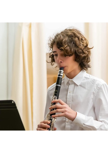 29 Pcs Bb Klarnet Ağızlık Kiti Ligatür, Ağızlık Yastıkları, Klarnet Sazları 2.5 ve Siyah Plastik Kapak Içerir (Yurt Dışından) modelleri