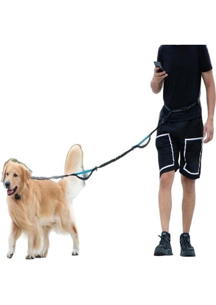 Yeni Model Yansıtıcı Çekme Bandı Köpek Tasmaı (Yurt Dışından) modelleri