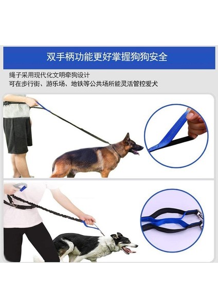 Yeni Model Yansıtıcı Çekme Bandı Köpek Tasmaı (Yurt Dışından) indirimleri