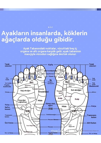 Taban Masajı Rehabilitasyon Stres Azaltma Egzersizi Akupunktur Noktası Ayak Masaj Aleti (Yurt Dışından) fiyatları