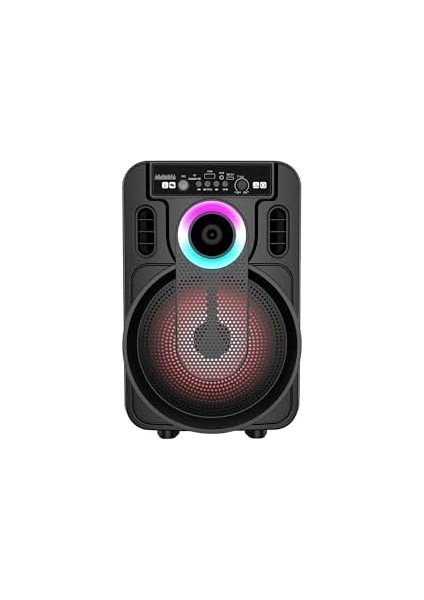 20W 2400 Mah Kablolu Mikrofonlu Bluetooth Hoparlör BTS-420 modelleri