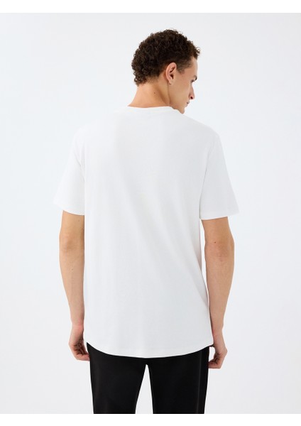 Regular Fit Erkek Tshirt K.kol modelleri