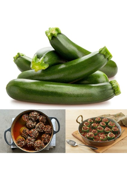 Girit Kabağı Tohumu Kabak Geleneksel Cucurbita Pepo fiyatları