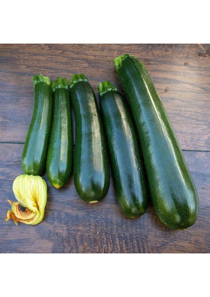 Girit Kabağı Tohumu Kabak Geleneksel Cucurbita Pepo indirimleri