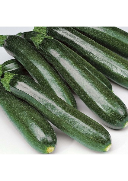 Girit Kabağı Tohumu Kabak Geleneksel Cucurbita Pepo