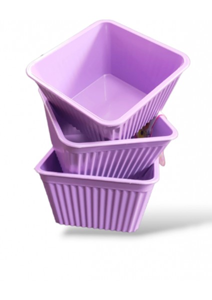 3'lü Kare Çerezlik -540