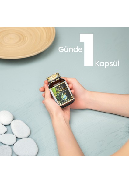 Postbiyotik 210 Milyar Cfu Rhamnosus & Plantarum Sindirim (21Kapsül & 700mg) | Akıllı Gıda Takviyesi indirimleri