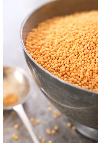 Sarı Hardal Tohumu Deluxe Seri Organik Lezzetli 300 gr fiyatları