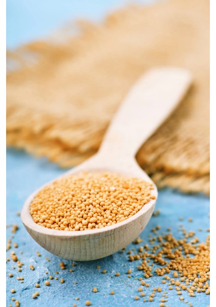 Sarı Hardal Tohumu Deluxe Seri Organik Lezzetli 300 gr fırsatları